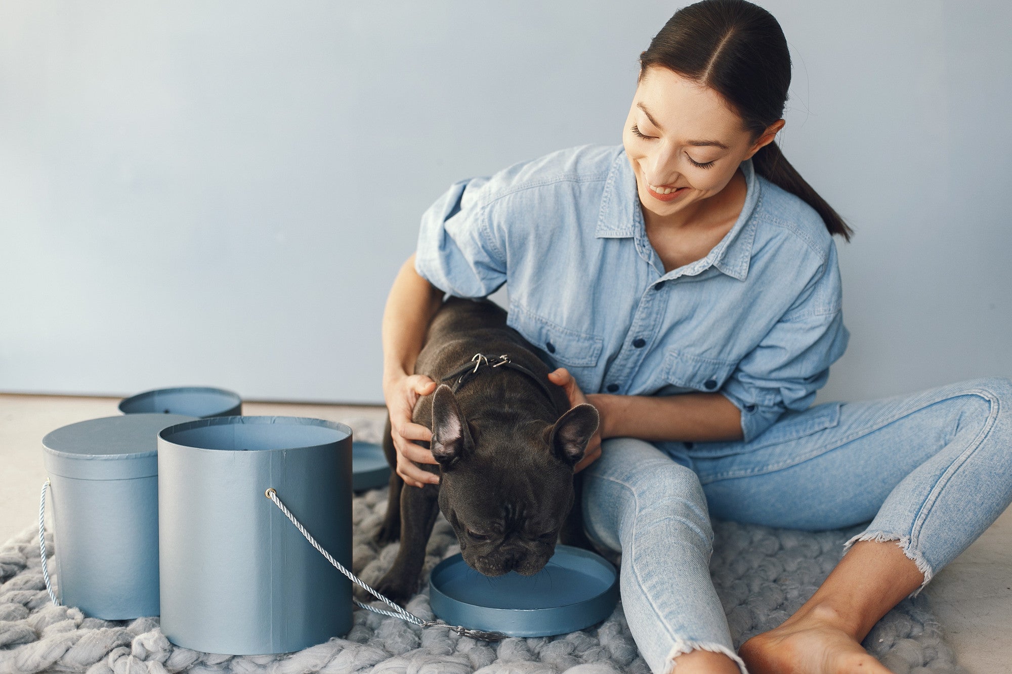 Caring for Your Pets with the Right Essentials