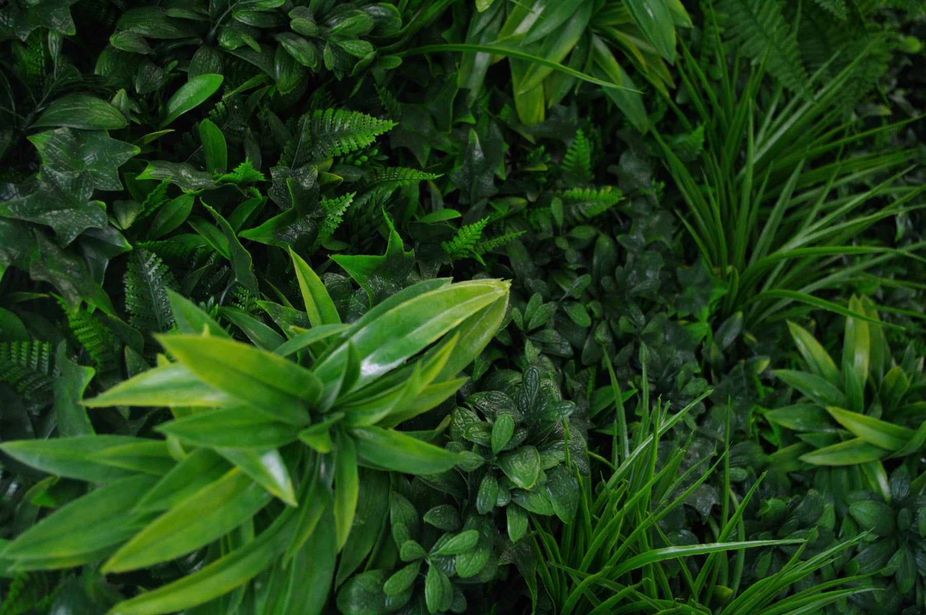 Green Tropics UV Stabilised 1m X 1m 3