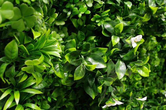 White Oasis Vertical Garden / Green Wall UV Resistant 1m x 1m 3