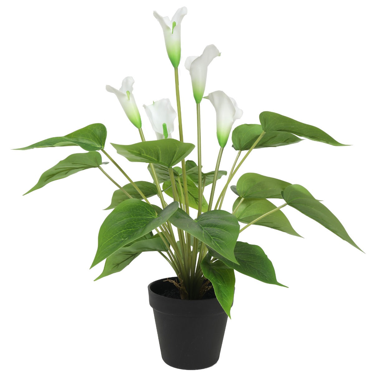 Artificial Flowering White Peace Lily / Calla Lily Plant 50cm 3