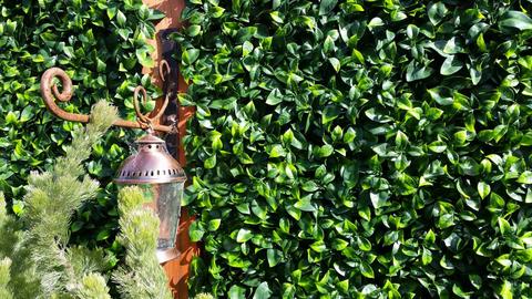 Jasmine Leaf Screens / Panels UV Stabilised 1m X 1m 3