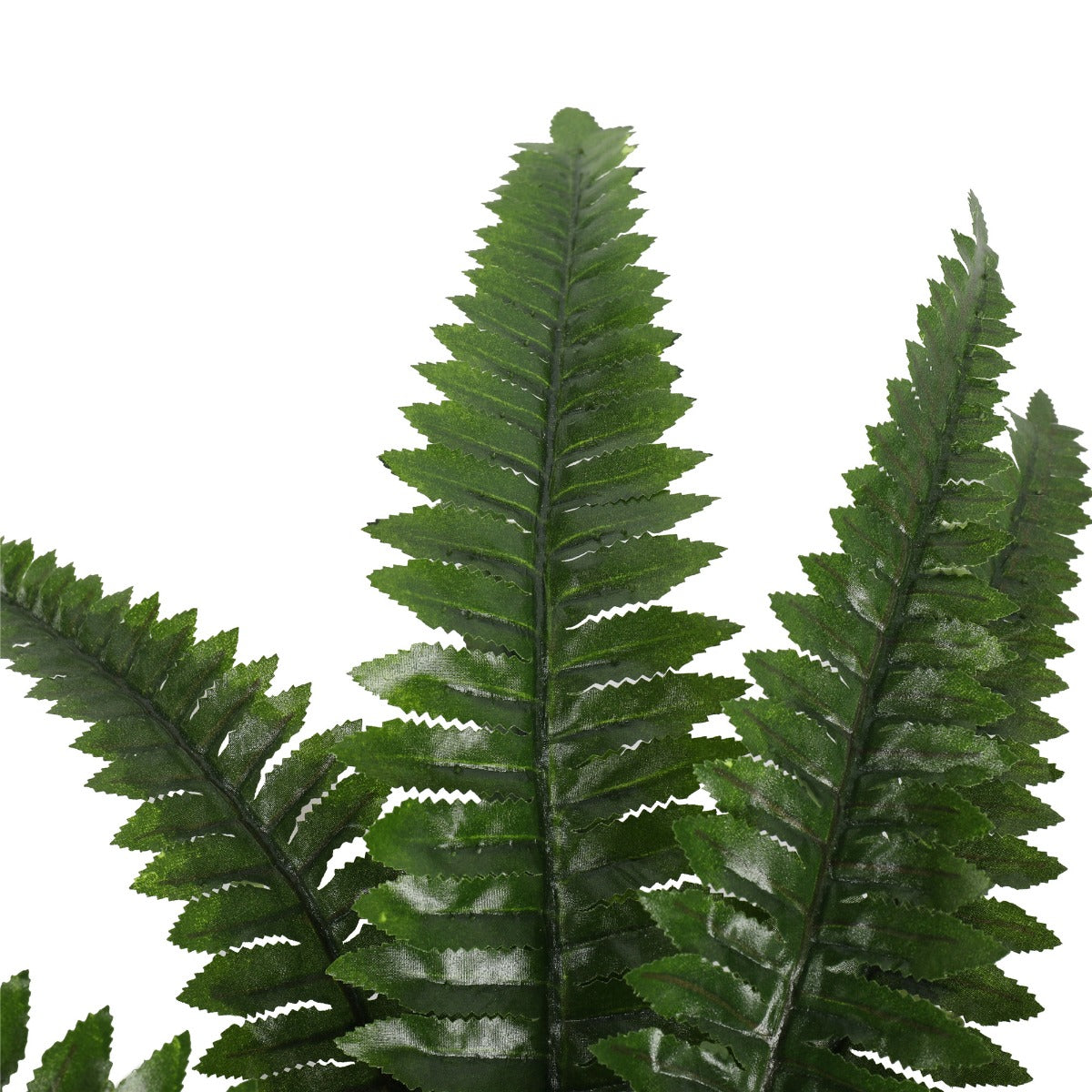 Artificial Potted Natural Green Boston Fern (50cm high 70cm wide) 3
