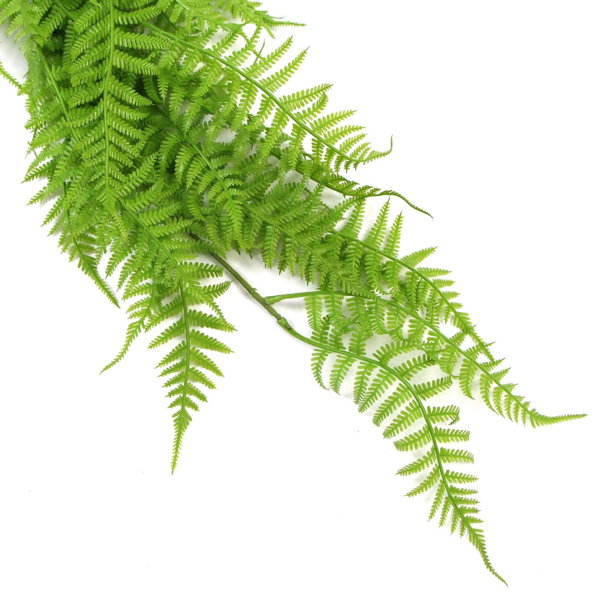 Hanging Fresh Green Boston Fern UV Resistant 80cm 6