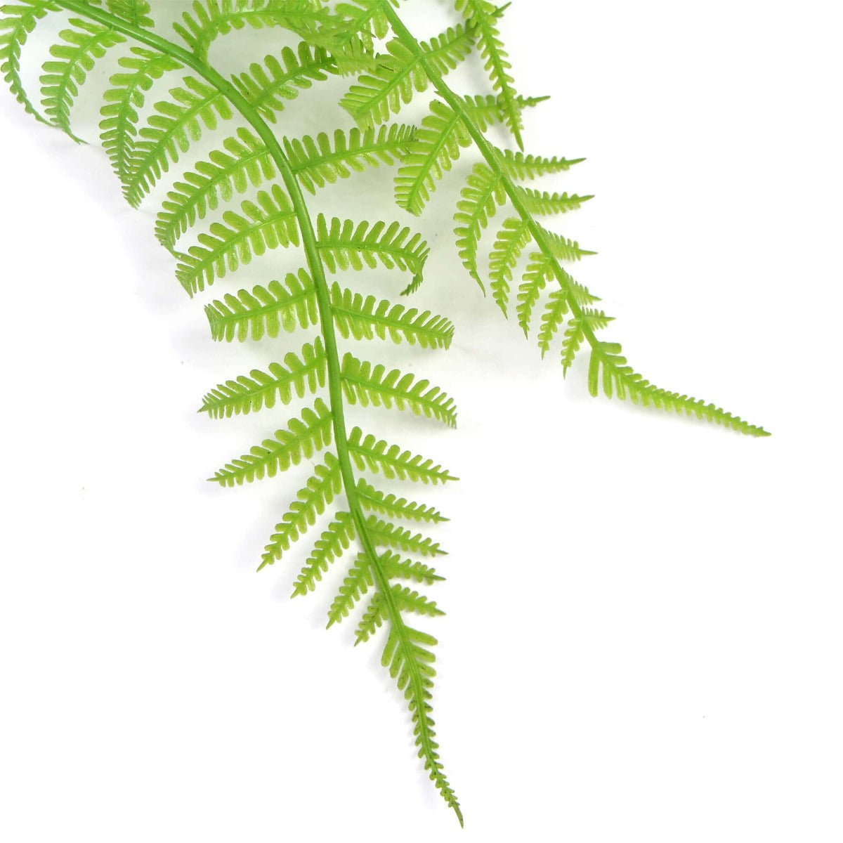 Hanging Fresh Green Boston Fern UV Resistant 80cm 7
