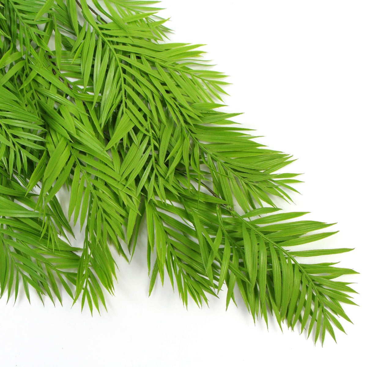 Hanging Fresh Green Bamboo Leaf Fern UV Resistant 80cm 5