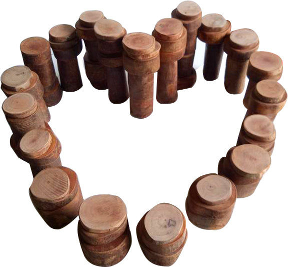 Tree Counting Set 70 pcs 3