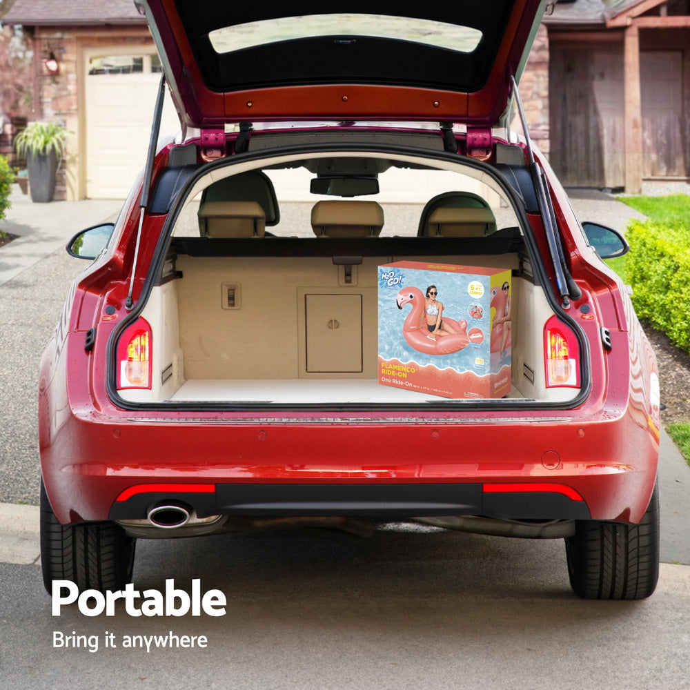 Bestway Flamingo Float Rider Inflatable Ride On Floating Pool Lounger 148x127CM 6