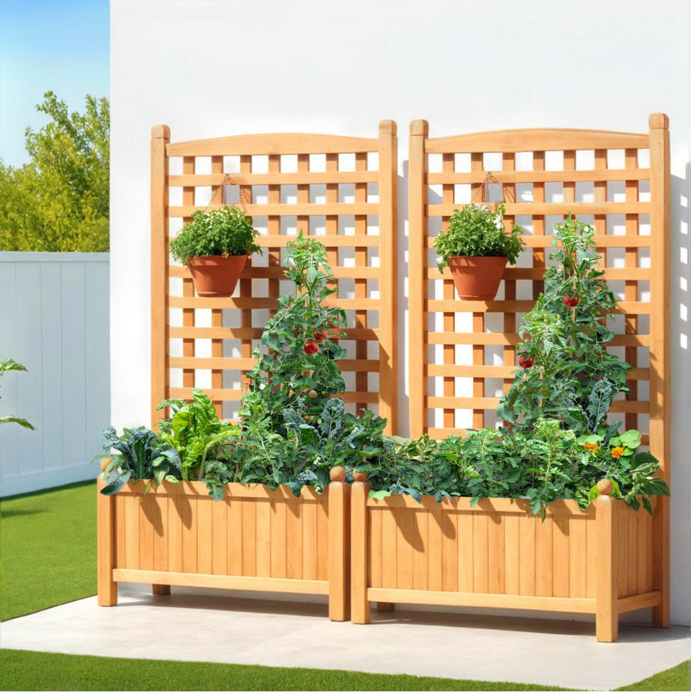 Green Fingers 2X Garden Bed Wooden 64x35x115cm Planter Raised Box Container Trellis 7