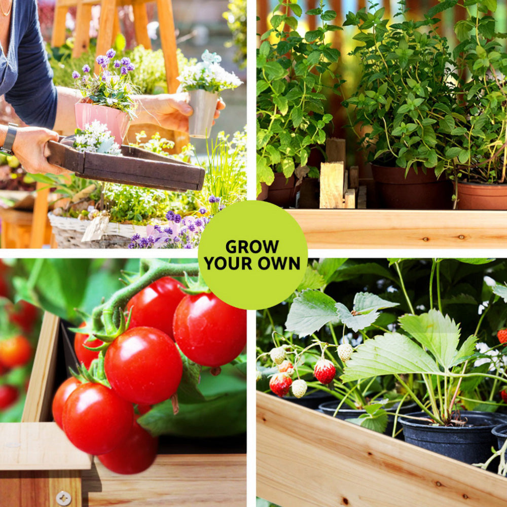 Green Fingers Raised Garden Bed 2x Elevated 120x60x80cm Wooden Planter Box Container 4