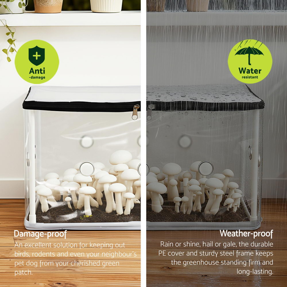 Green Fingers Mini Greenhouse 50x25x25cm PVC Cover for Mushrooms Succulents 4