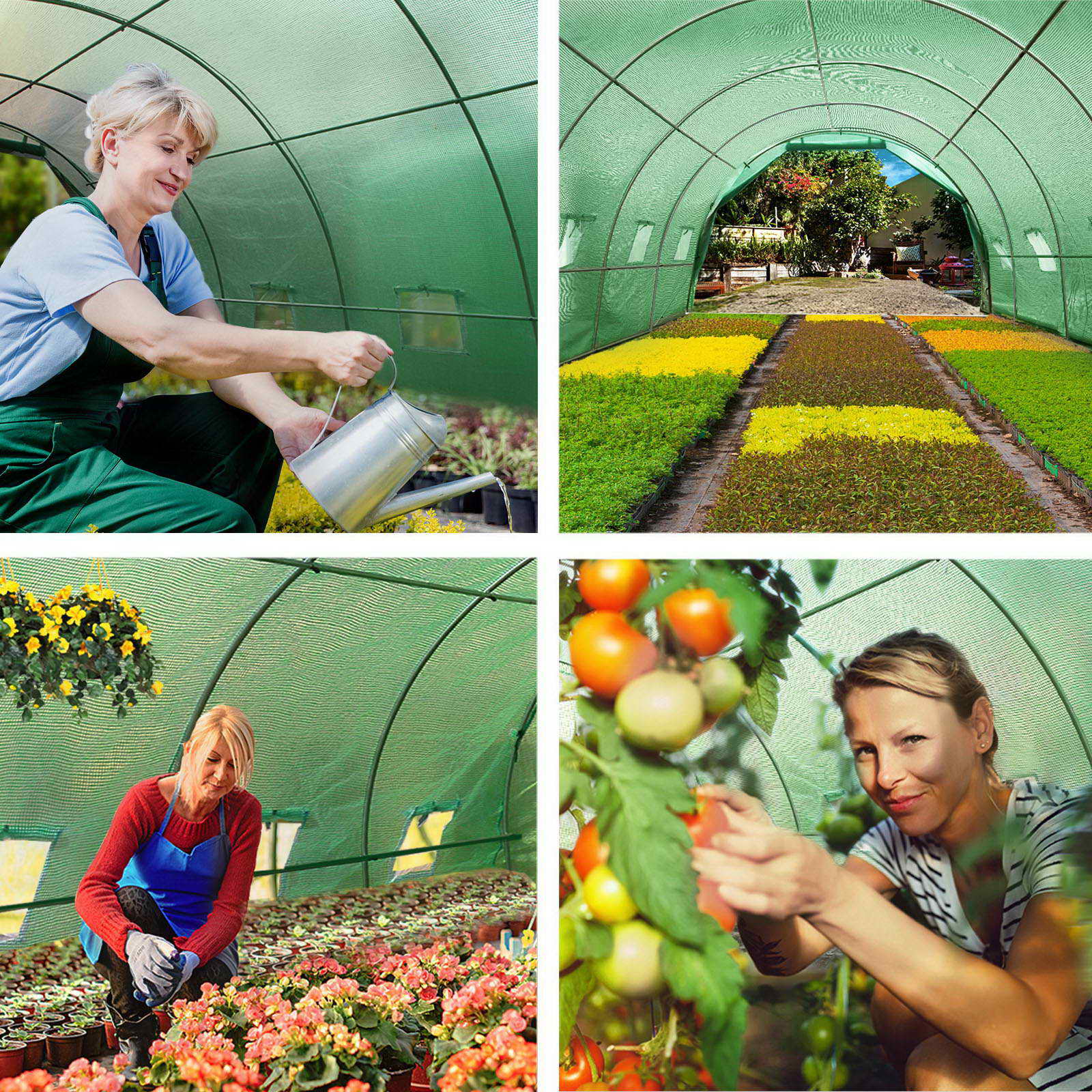 Green Fingers Greenhouse 6x3x2M Walk in Green House Tunnel Plant Garden Shed Dome 7