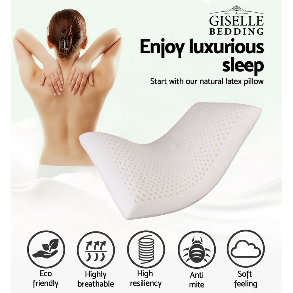 Giselle Bedding Natural Latex Pillow Classic Twin Pack 3