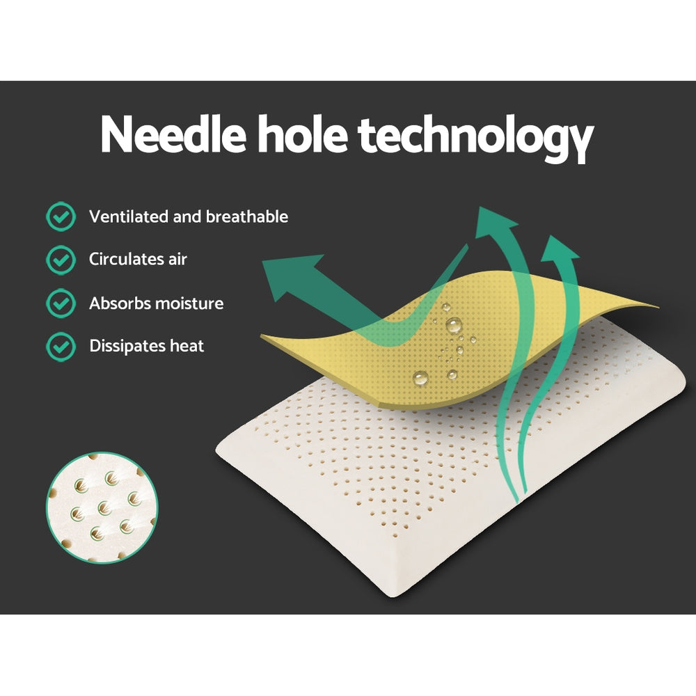 Giselle Bedding Natural Latex Pillow Classic Twin Pack 5