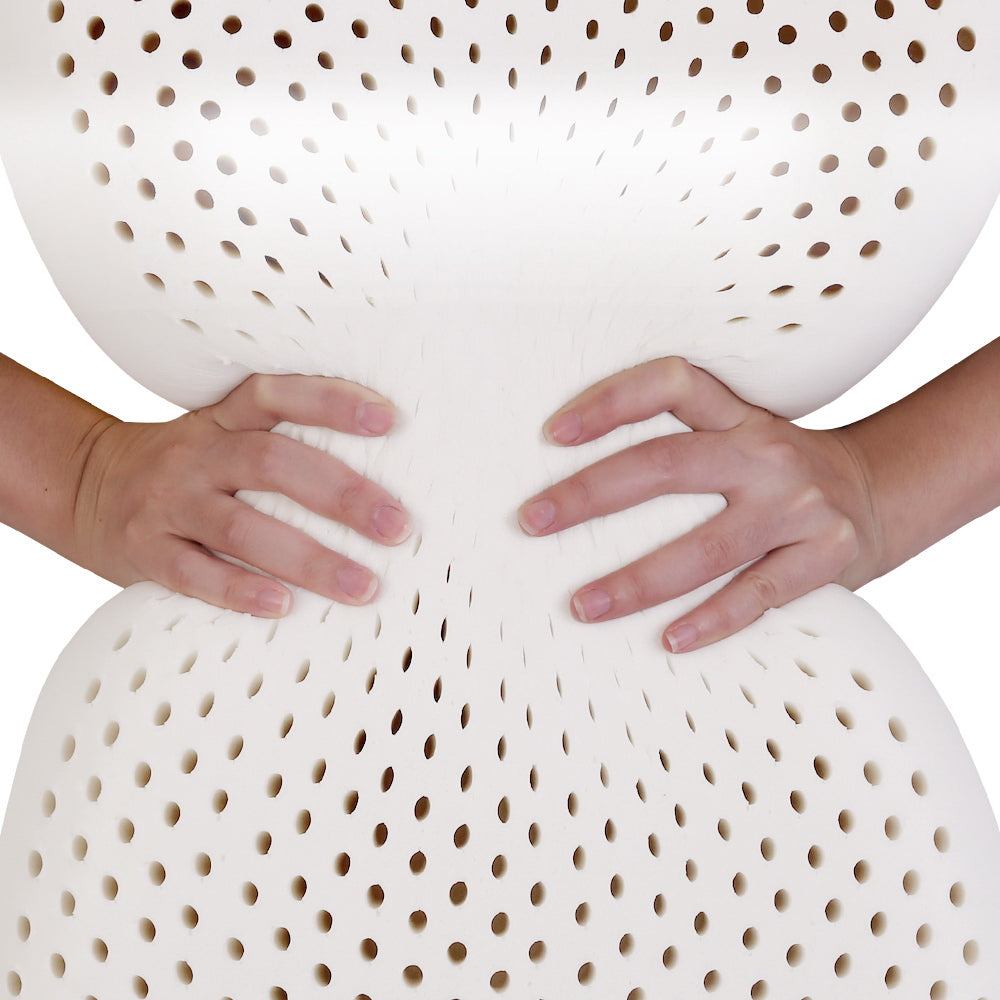 Giselle Bedding Natural Latex Pillow Classic Twin Pack 7