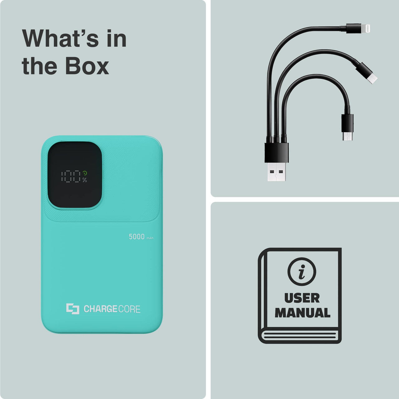 ChargeCore SafeCharge Max 5K - Aquatic Awe 14