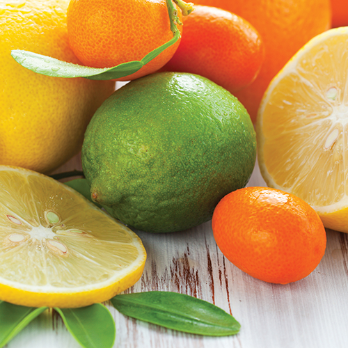 Sugared Citrus Wax Melts 2.5oz 3