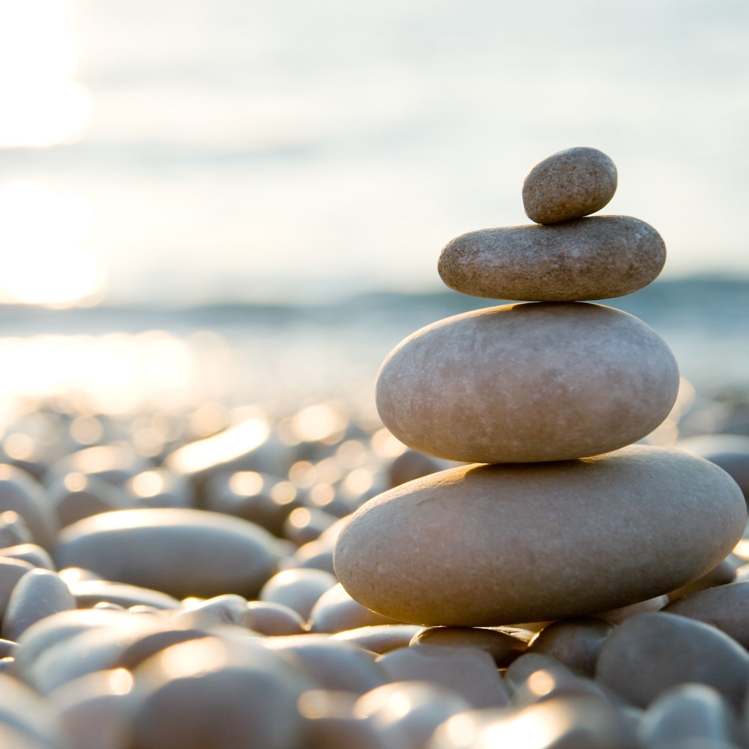 Tranquility Aromatherapy Melt 2.5oz 3