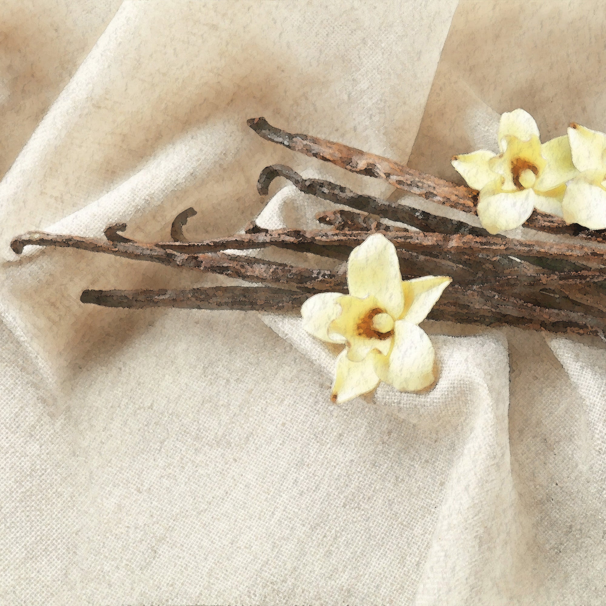 Vanilla Dream Scents