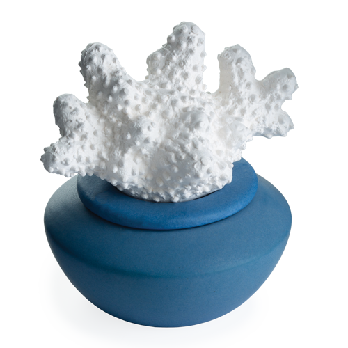 Coral Porcelain Passive Diffuser 3
