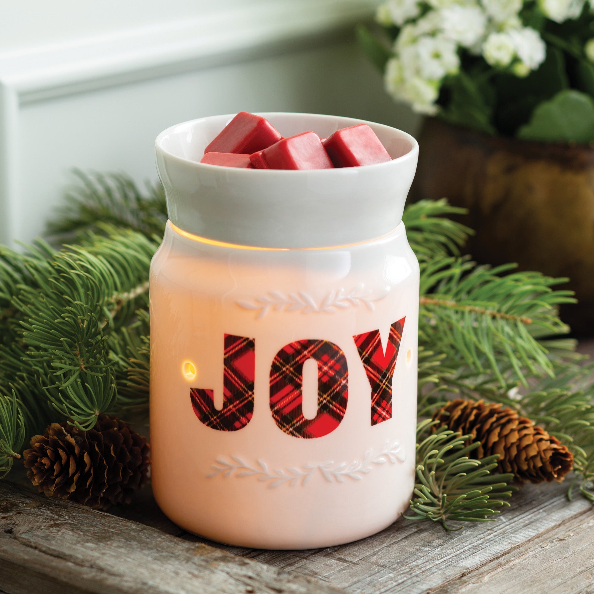 Joy Illumination Warmer 3