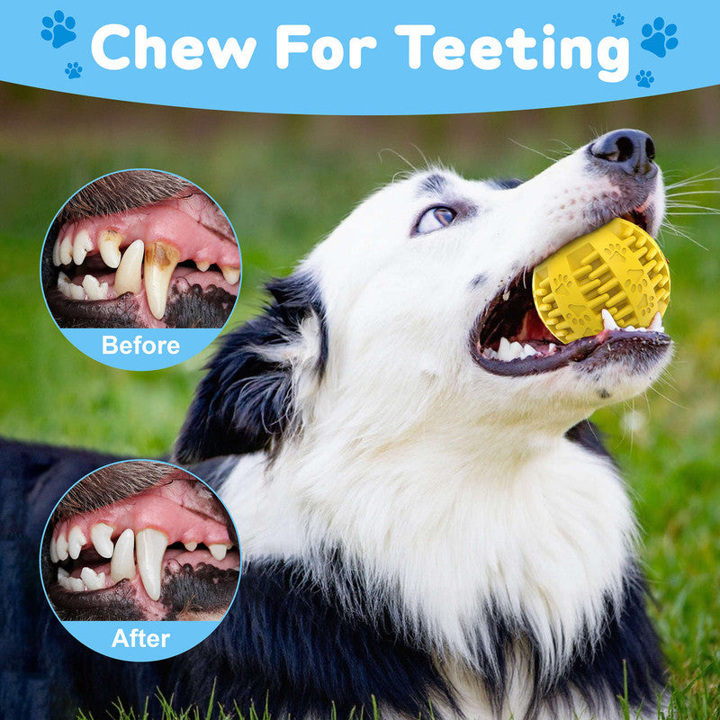 pet products Electric bouncing ball for grinding teeth and teasing pets 5