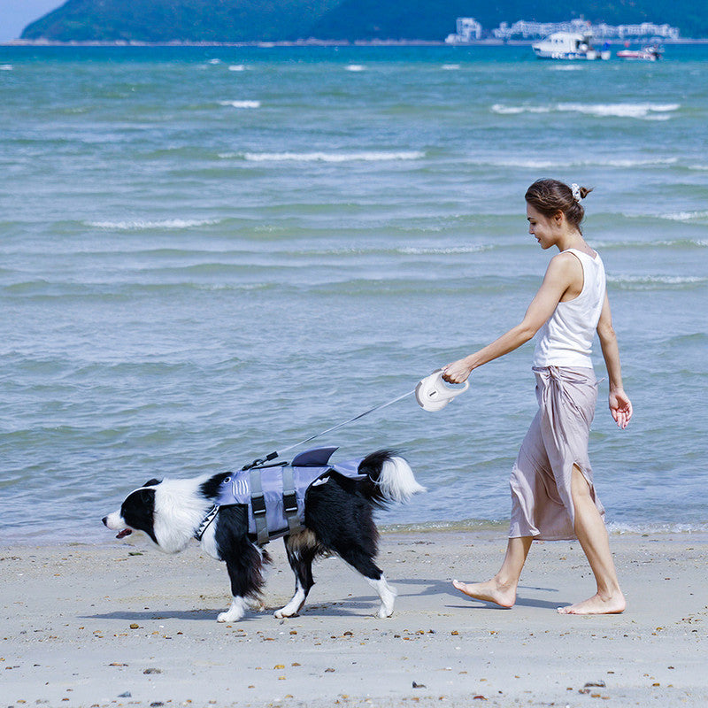 pet products Pet Strong Spring Telescopic Traction Device 7