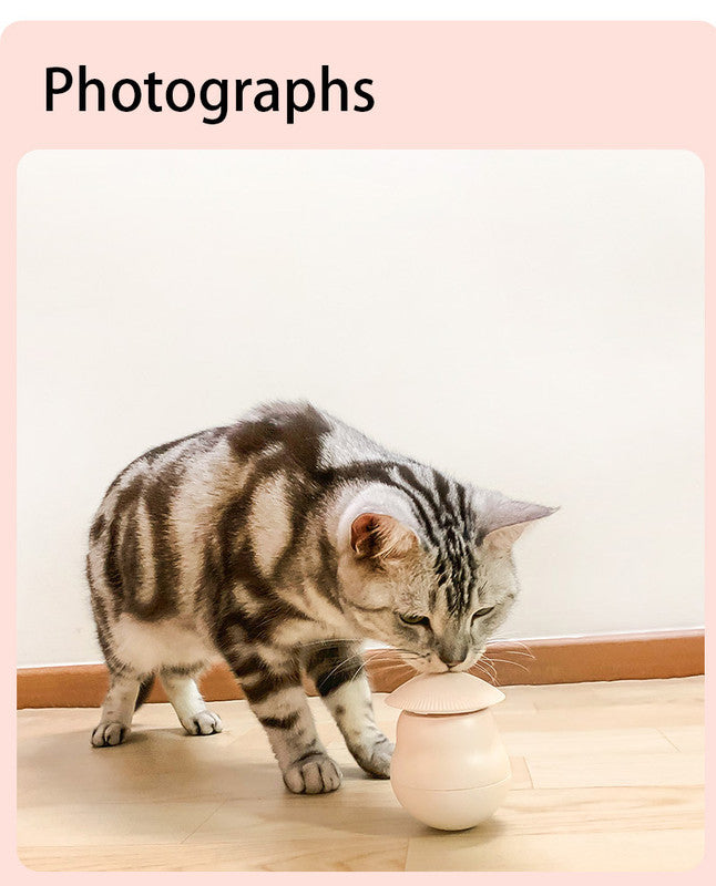 Pet products Pet Toy Cat Laser Toy Tumbler Intelligent Induction Cat Laser Rod 9