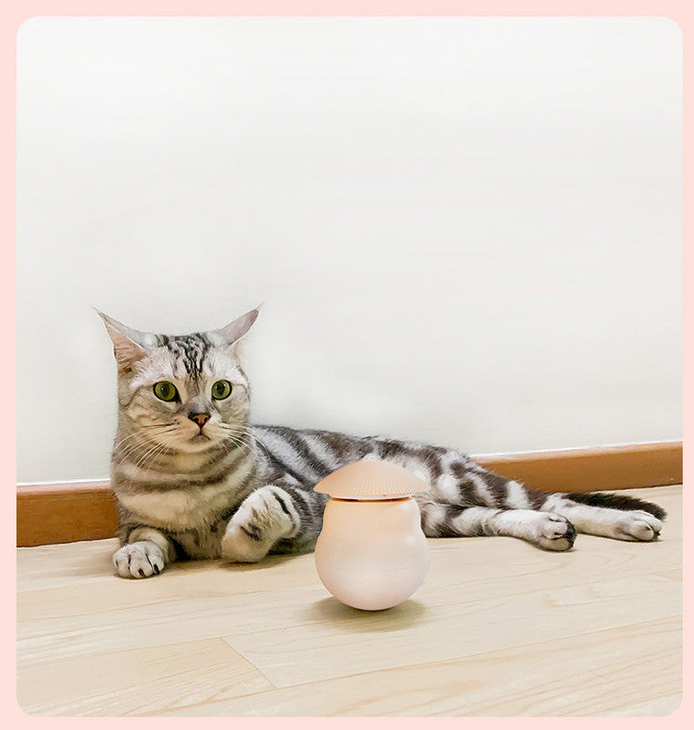 Pet products Pet Toy Cat Laser Toy Tumbler Intelligent Induction Cat Laser Rod 10