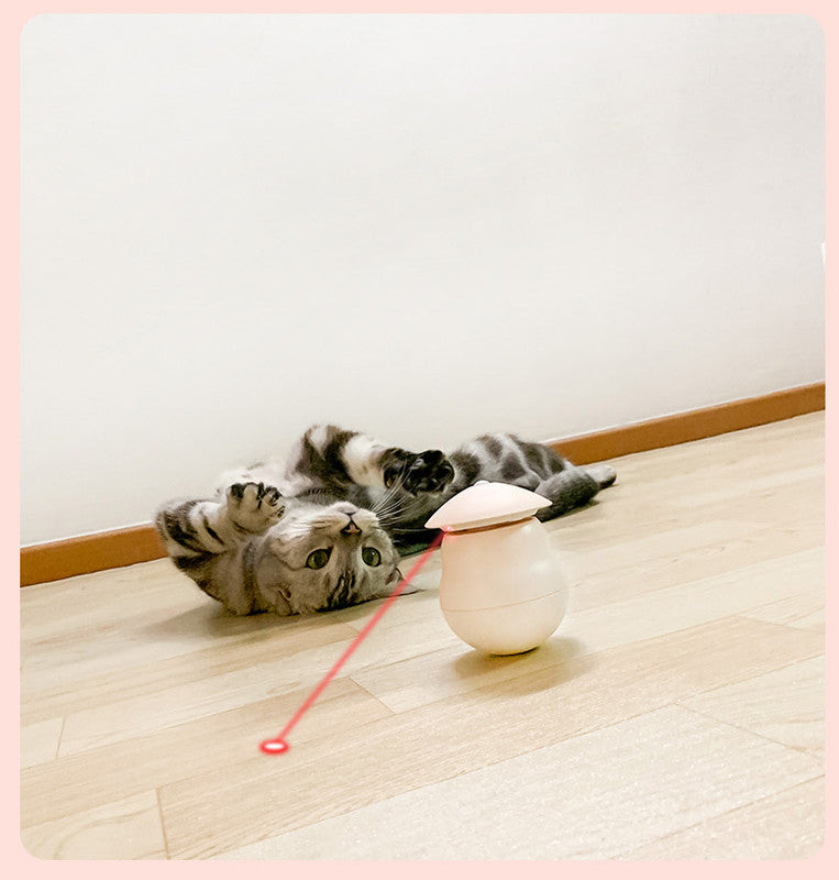 Pet products Pet Toy Cat Laser Toy Tumbler Intelligent Induction Cat Laser Rod 11