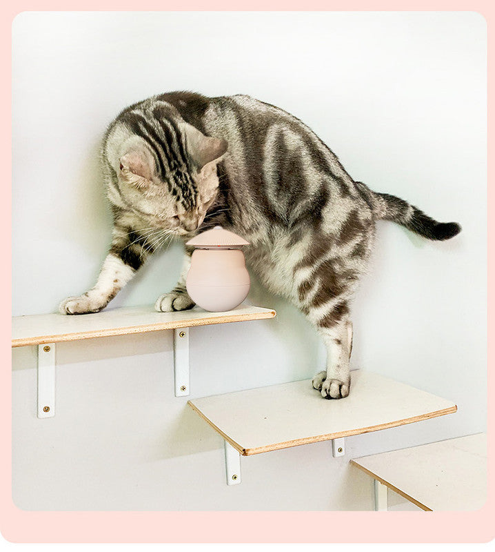 Pet products Pet Toy Cat Laser Toy Tumbler Intelligent Induction Cat Laser Rod 12