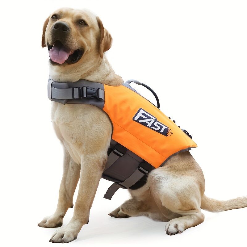Safe Playtime: The ultimate dog buoyancy vest designed for water adventures. Pet life jacket. Christmas, Black Friday pet products 5