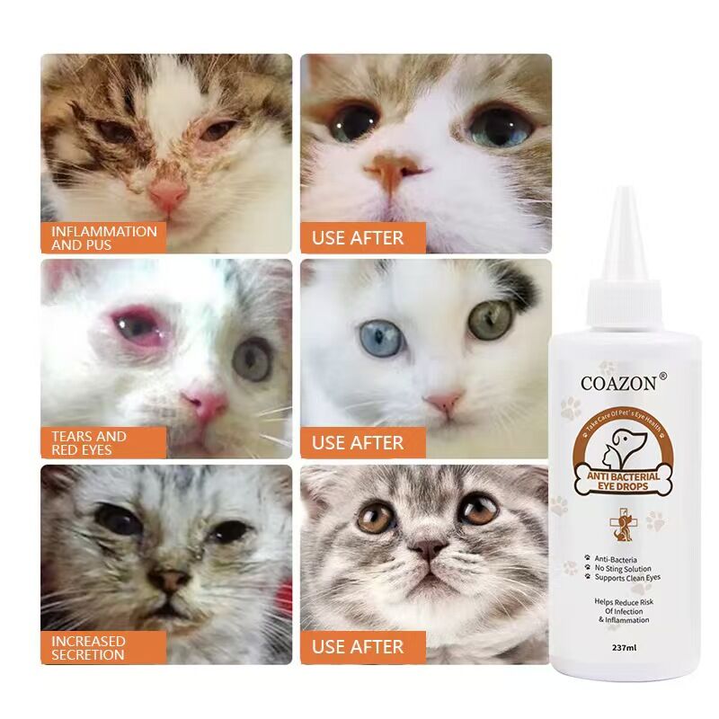 pet products Pet products COAZON, Eye Stain Remover for Dogs and Cats, Dry Eyes, Keratitis ,Conjunctivitis,One's Eyes Become Bloodshot,Redness And Itching, Increased Secretion 4