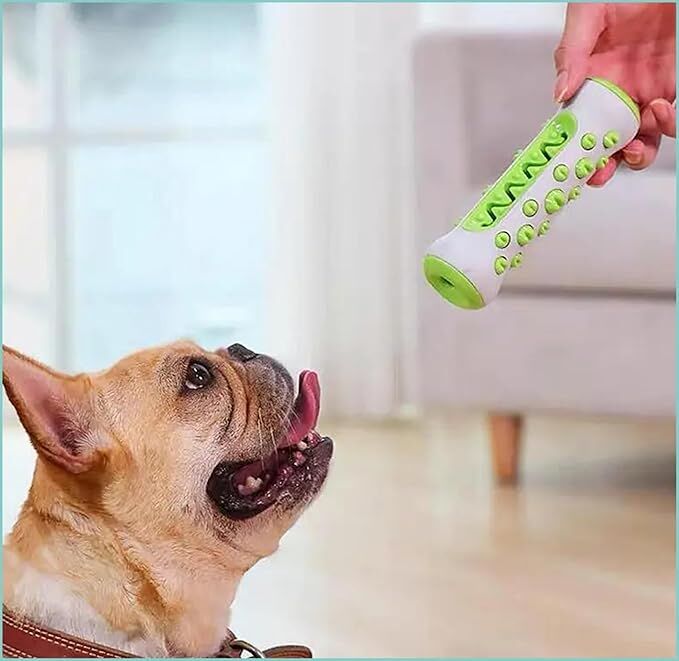 Dog Chew Toy: Durable Nylon & TPR, Teeth Cleaning Bone for Aussie Dogs 3