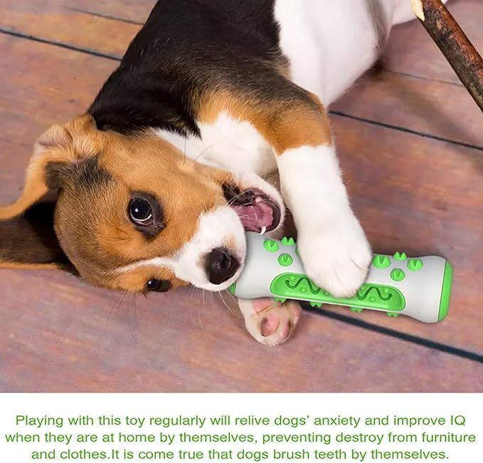 Dog Chew Toy: Durable Nylon & TPR, Teeth Cleaning Bone for Aussie Dogs 5