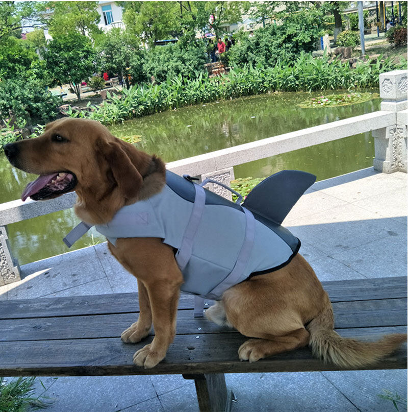 Pet products Dog Life Jacket, Cute Shark Dog Life Vest for Swimming Boating with Superior Buoyancy and Rescue Handle, Adjustable Puppy Floating Swim Vest for Small Medium Large Dogs(M)