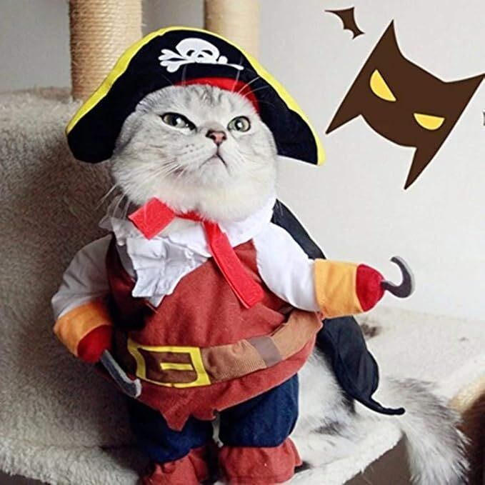 pet products New Funny Pet Clothes Pirate Dog Cat Costume Suit Corsair Dressing up Party Apparel Clothing for Cat Dog Plus Hat 5