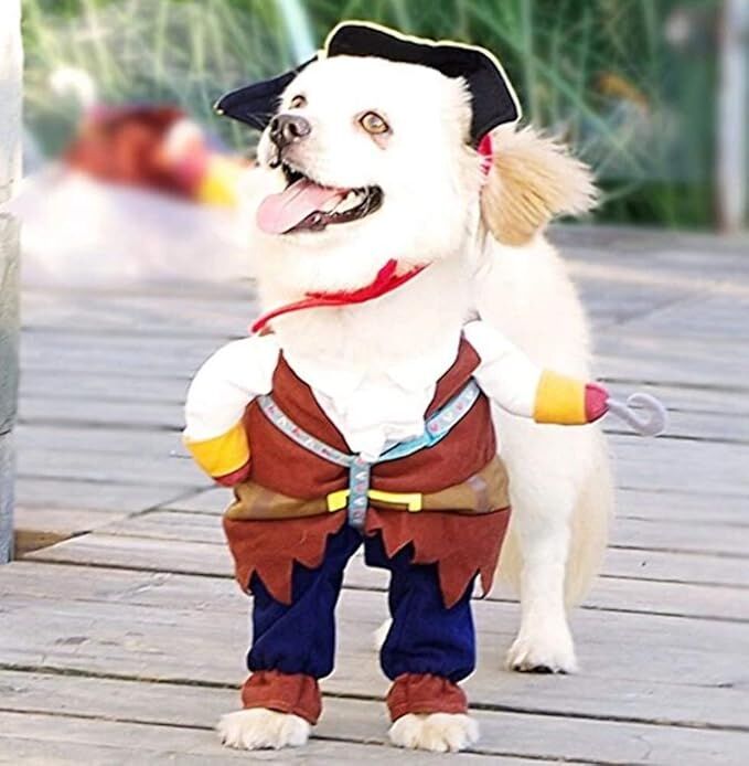 pet products New Funny Pet Clothes Pirate Dog Cat Costume Suit Corsair Dressing up Party Apparel Clothing for Cat Dog Plus Hat 3