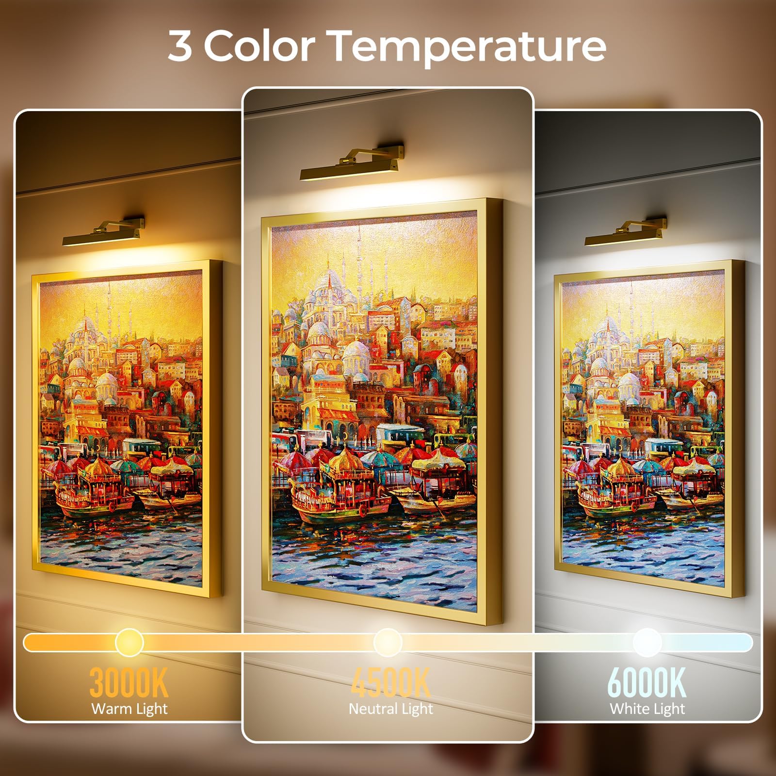 Picture Lights for Wall, Battery Operated Picture Light 16in Gallery Light for Paintings CCT Dimmable Gold