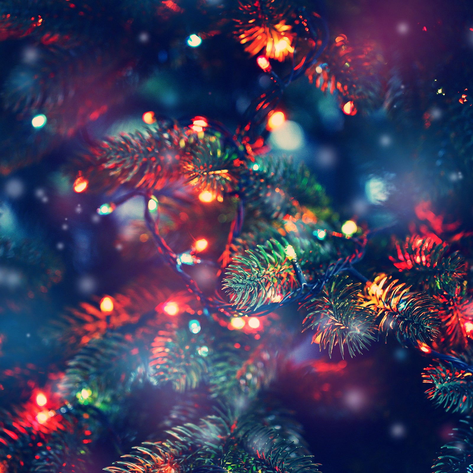 Milano Decor Outdoor LED Plug In Fairy Lights - Multicoloured - 200 Lights 6