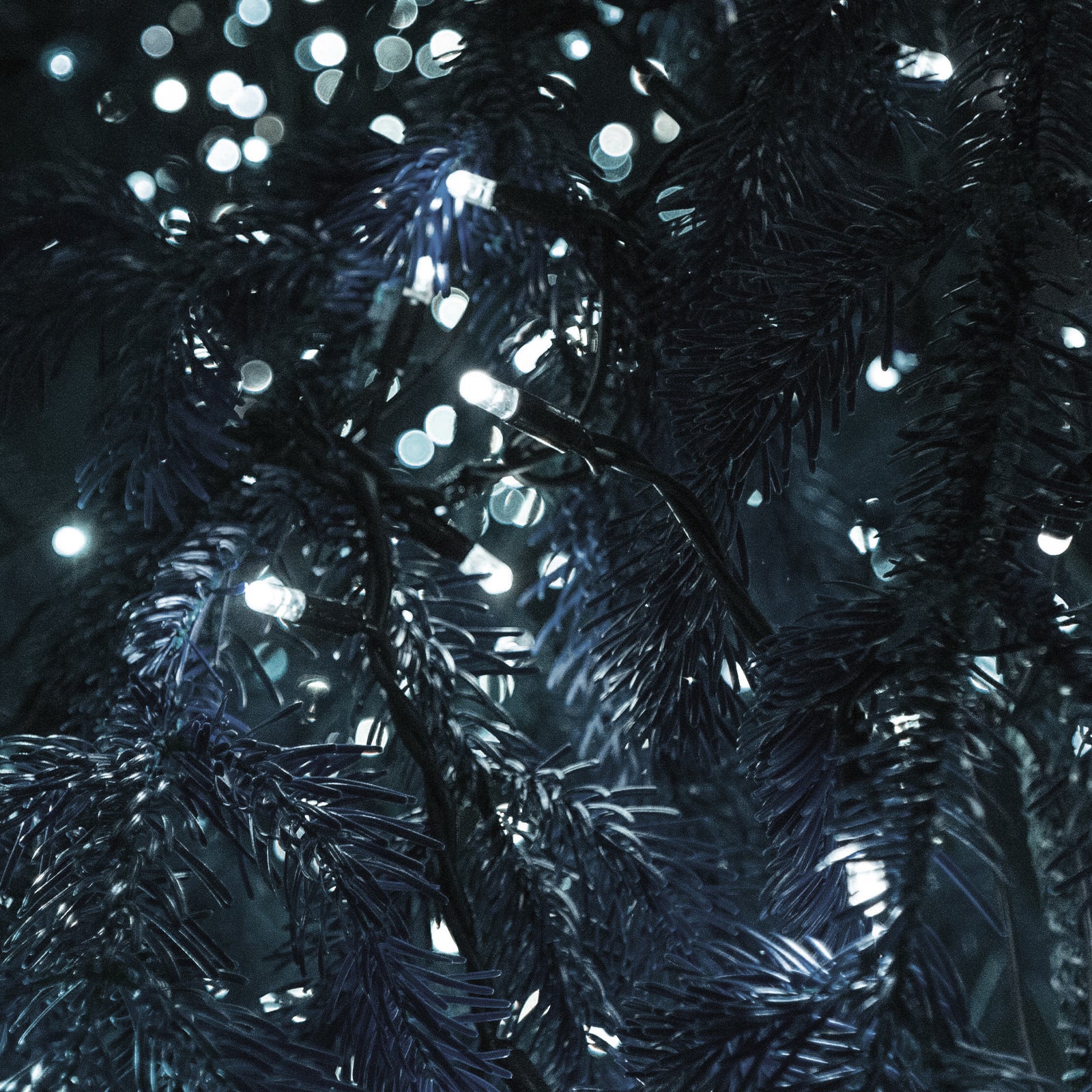 Milano Decor Outdoor LED Plug In Fairy Lights - White - 200 Lights 10