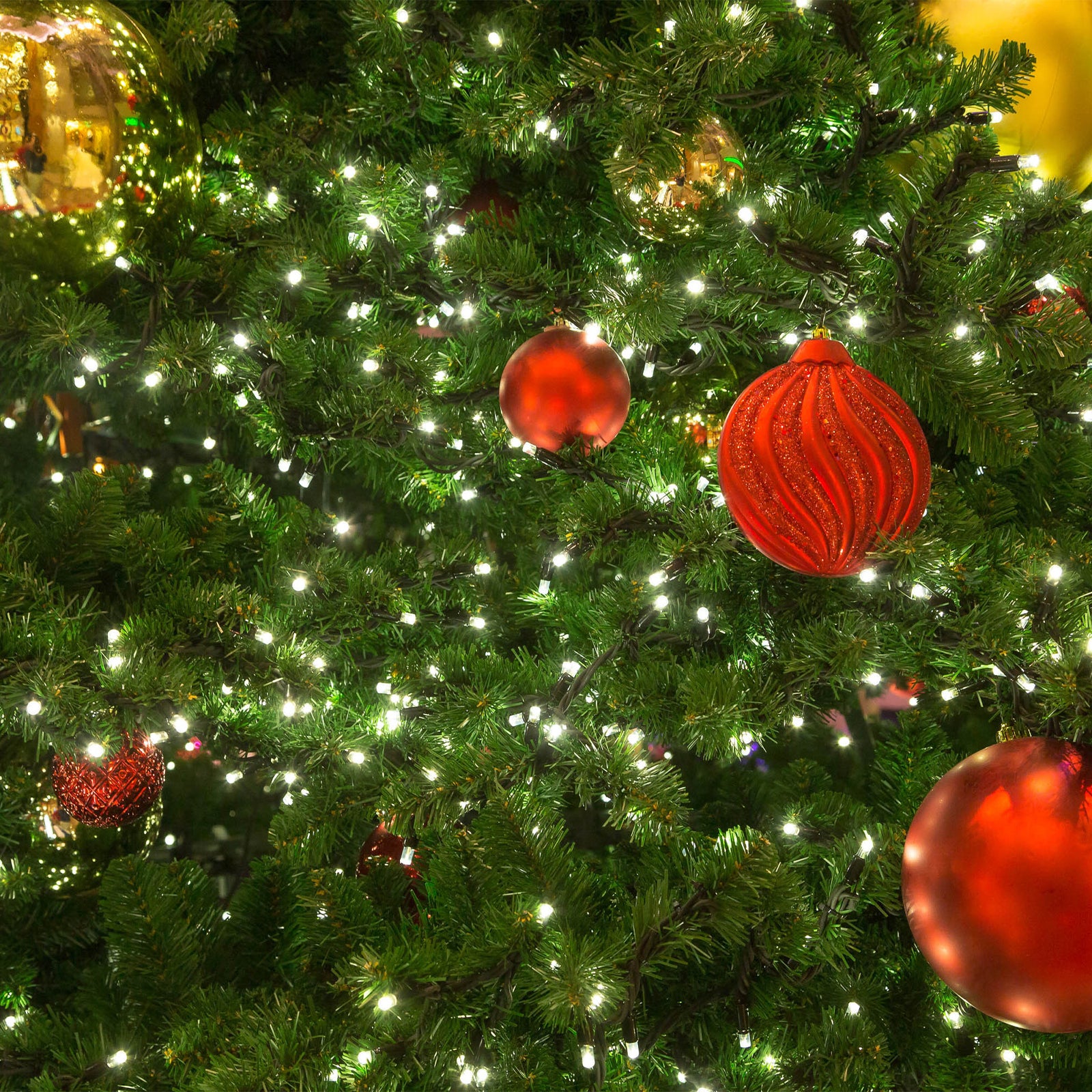 Milano Decor Outdoor LED Plug In Fairy Lights - White - 200 Lights 5