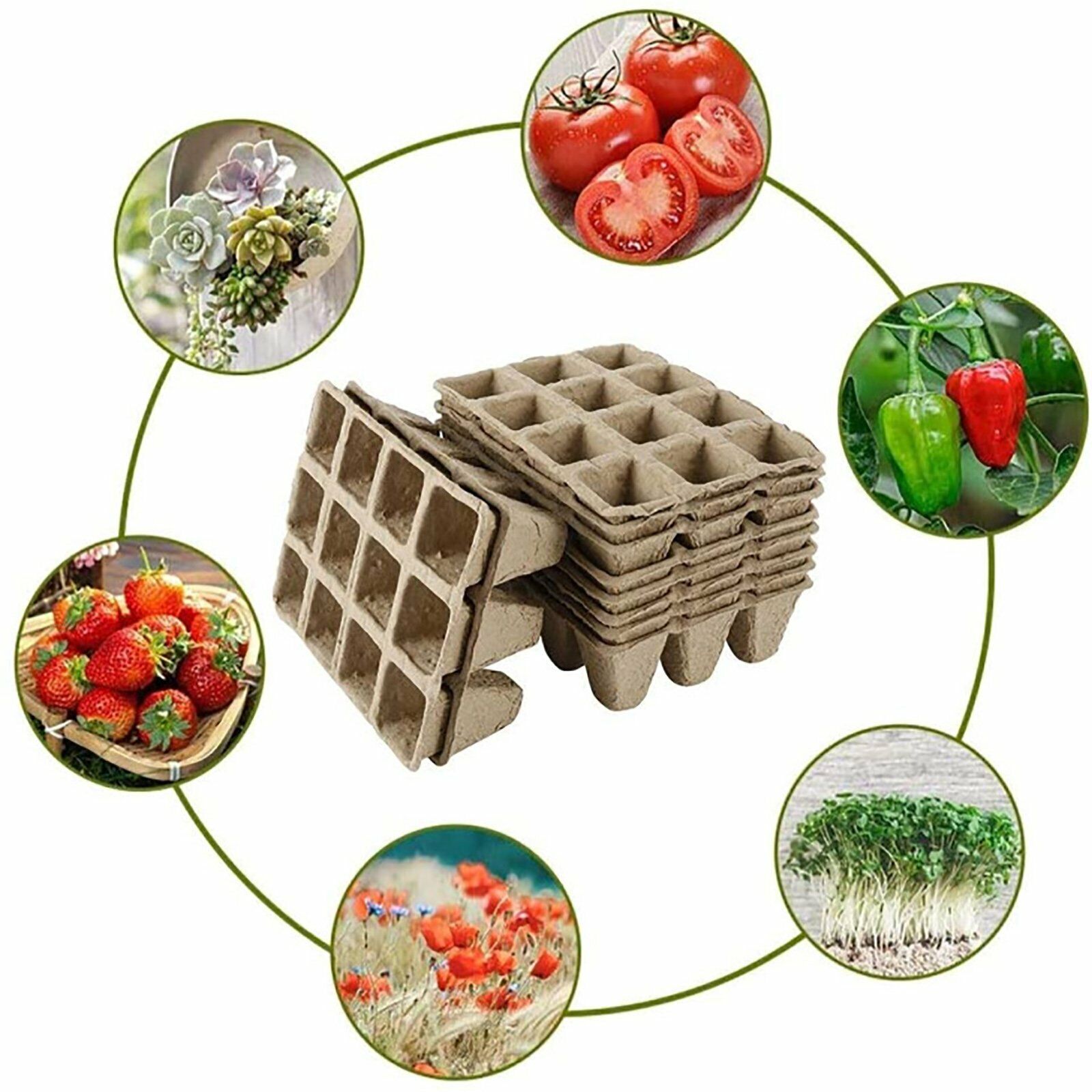 10pcs Biodegradable Seedling Trays 12-Hole Garden Starter 6