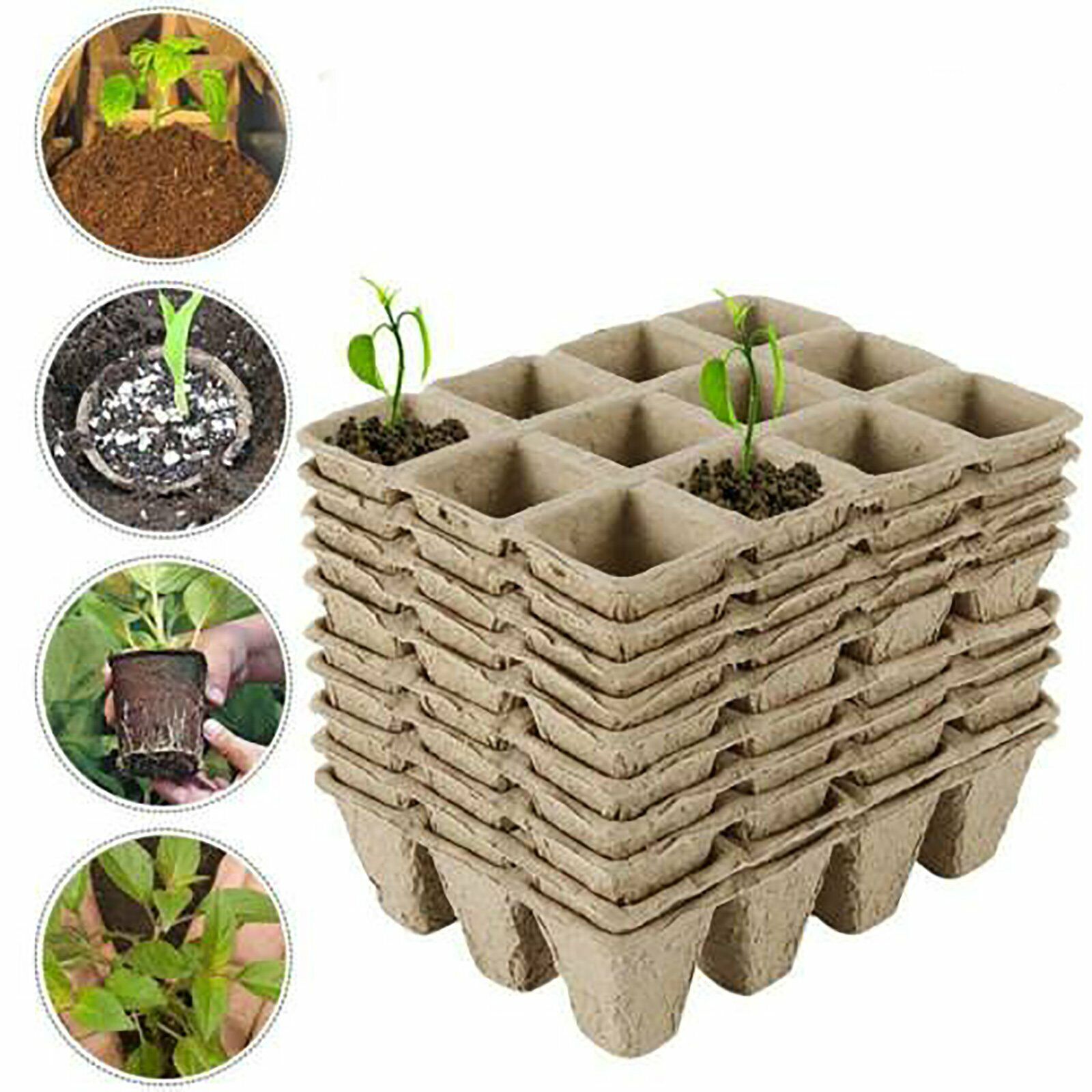 10pcs Biodegradable Seedling Trays 12-Hole Garden Starter 7