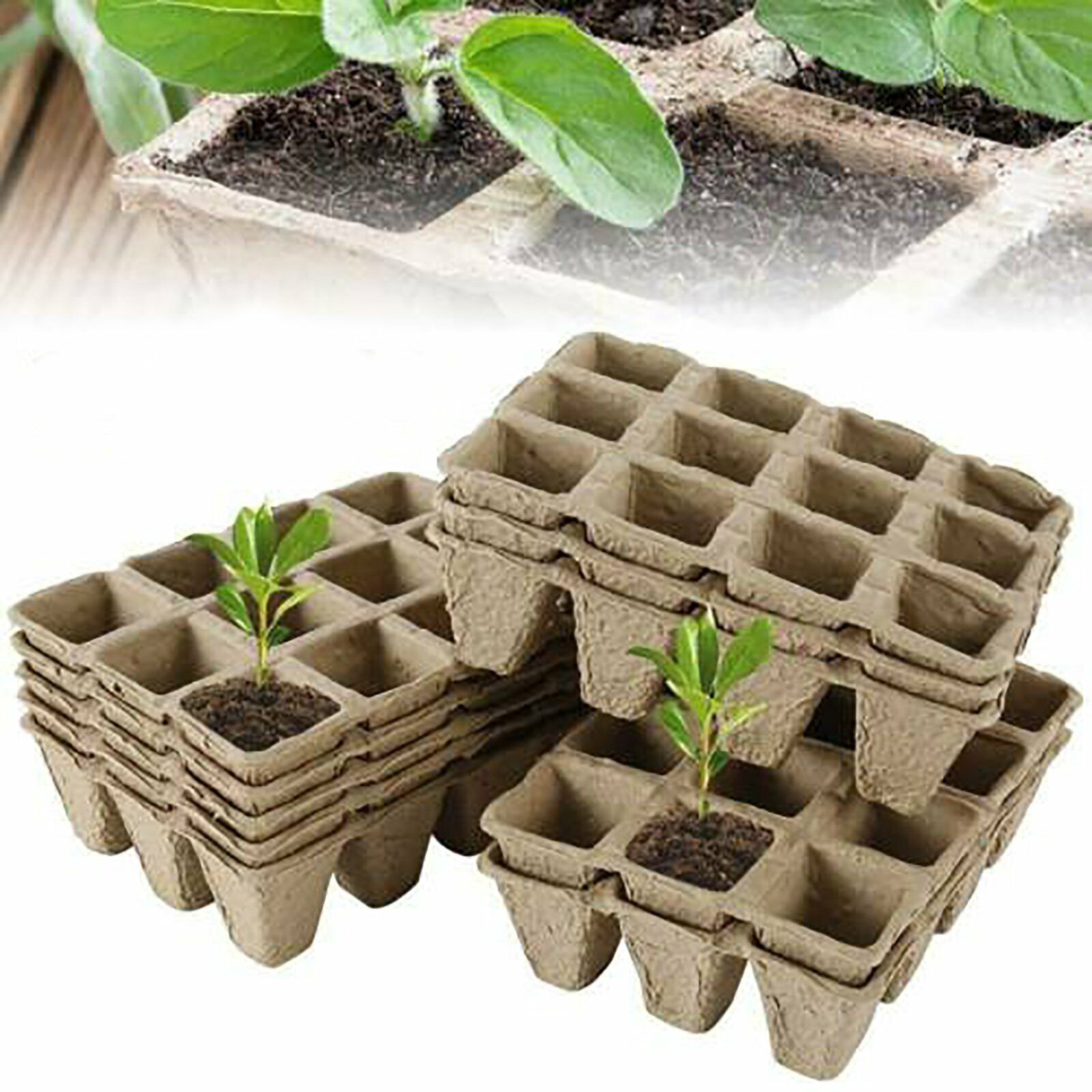 10pcs Biodegradable Seedling Trays 12-Hole Garden Starter 9