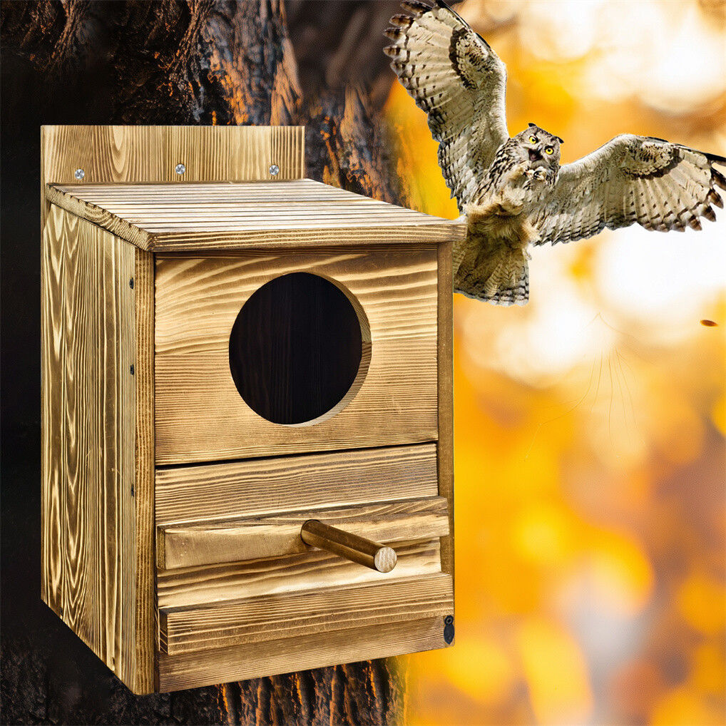 Owl Nesting Box Bird Feeder Paulownia Wood Acrylic 3