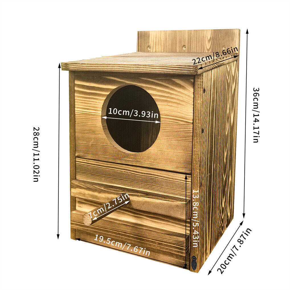 Owl Nesting Box Bird Feeder Paulownia Wood Acrylic 4