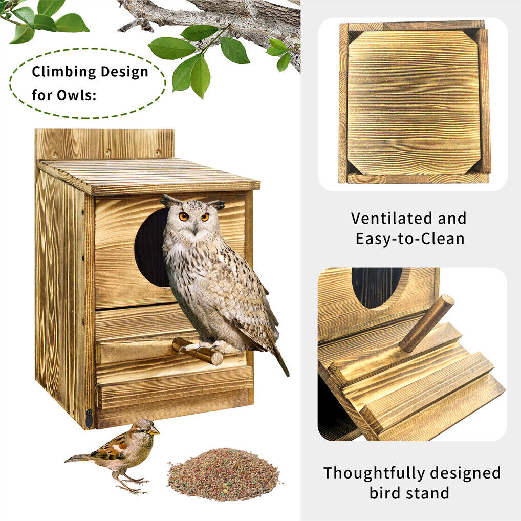 Owl Nesting Box Bird Feeder Paulownia Wood Acrylic 5