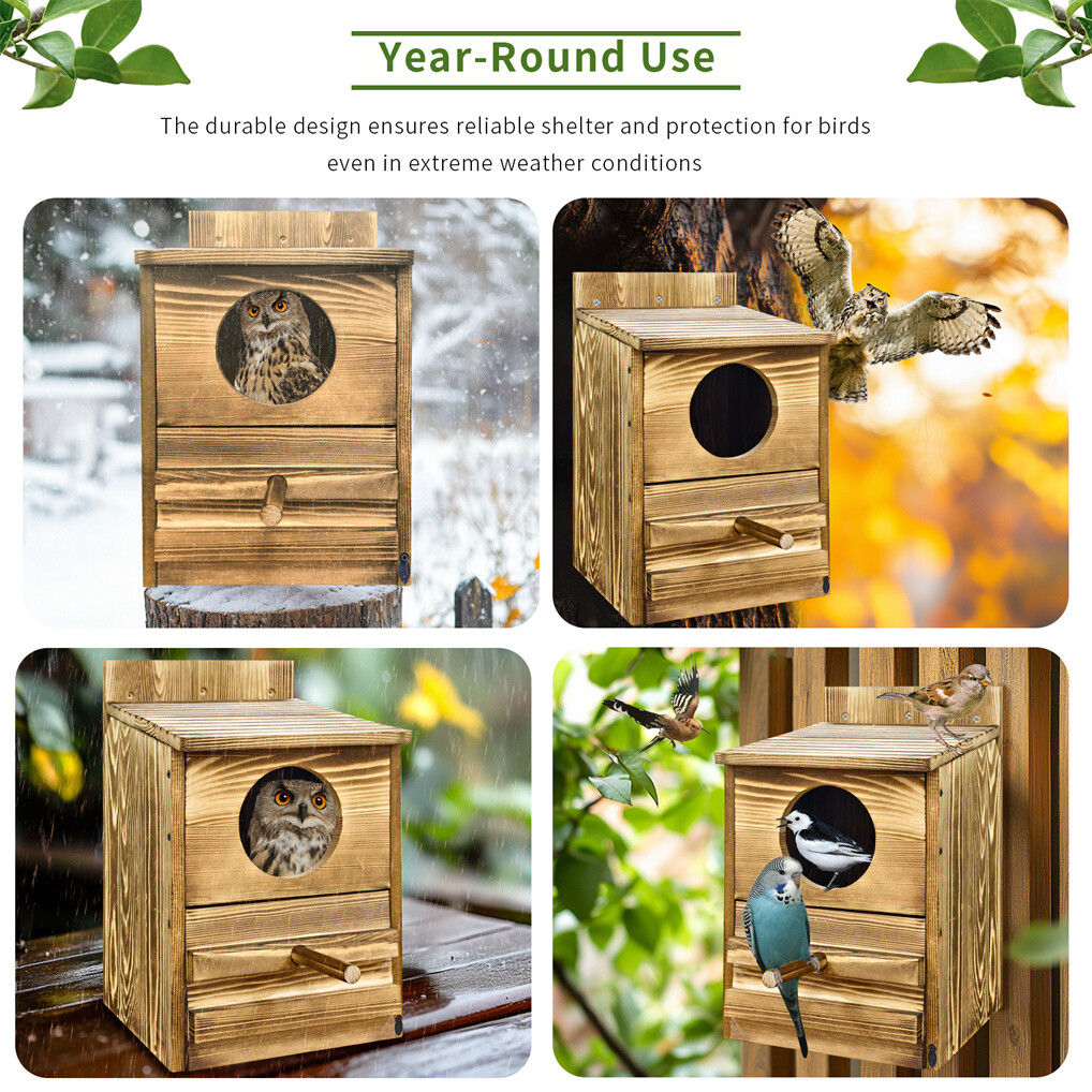 Owl Nesting Box Bird Feeder Paulownia Wood Acrylic 8