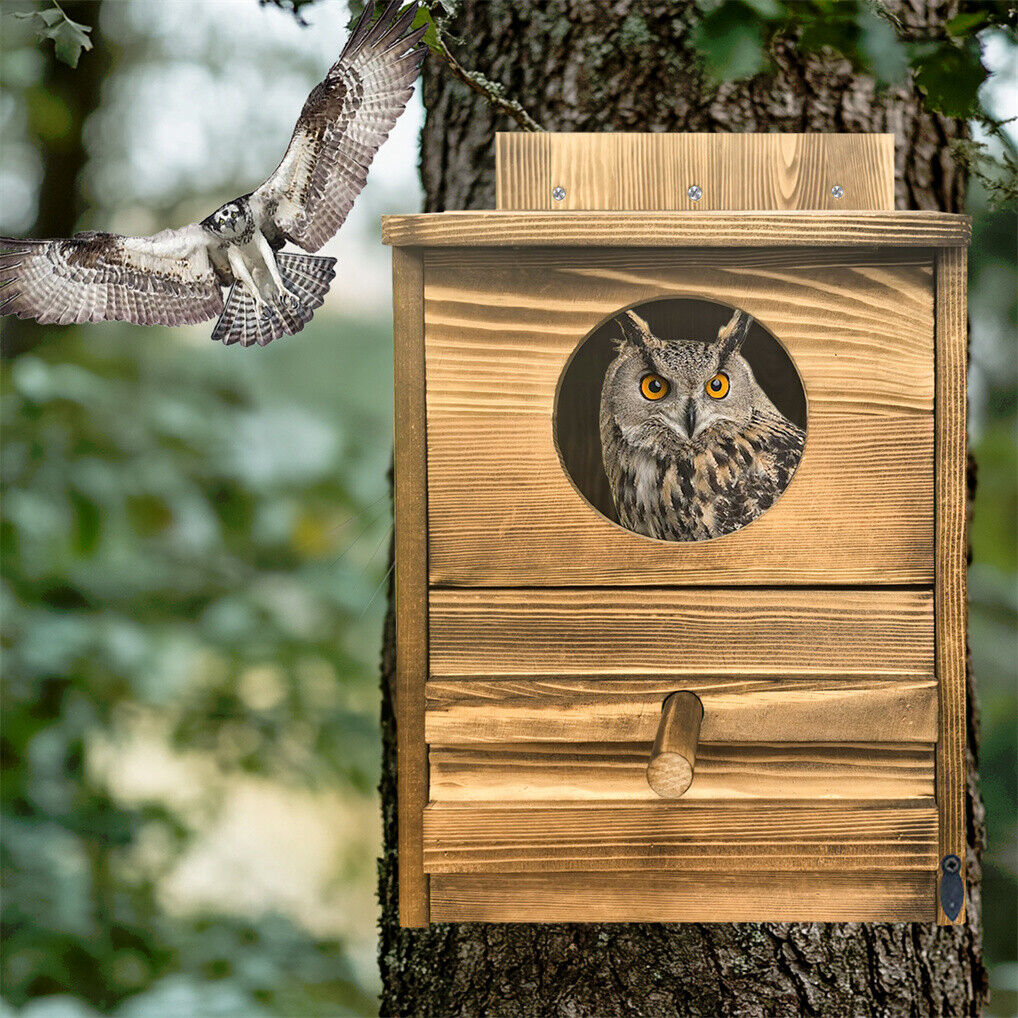Owl Nesting Box Bird Feeder Paulownia Wood Acrylic 10