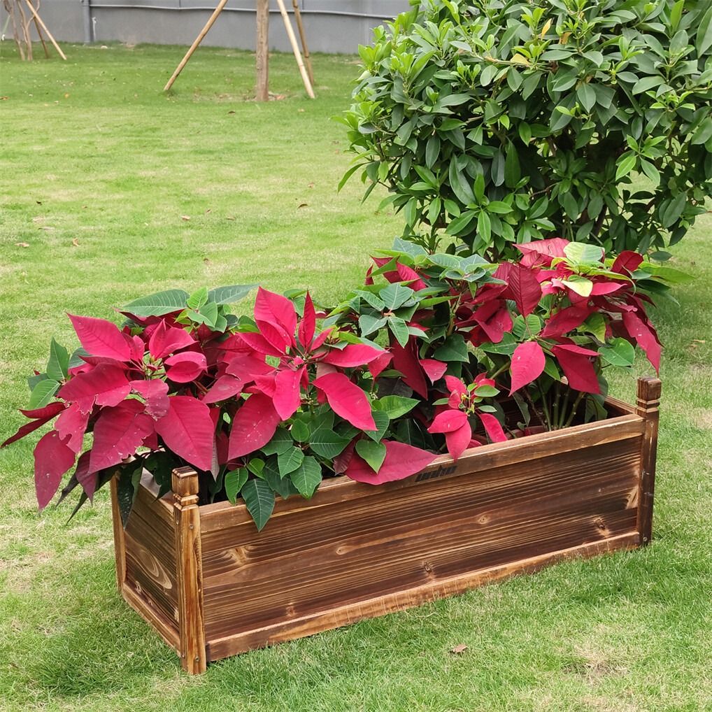 Medium Raised Garden Bed 60x30x33cm Wooden Planter Box 5